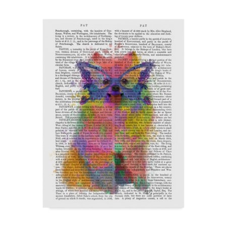 Fab Funky 'Rainbow Splash Text Pomeranian' Canvas Art,18x24